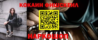 гидра Кимры