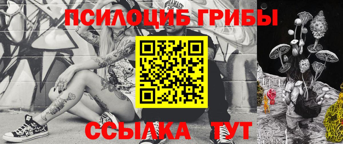 Галлюциногенные грибы Magic Shrooms Заводоуковск