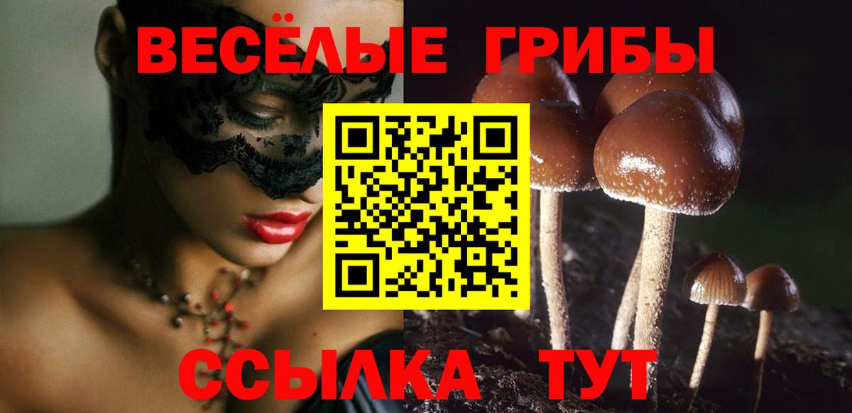 Галлюциногенные грибы Psilocybine cubensis  Псилоцибиновые грибы Cubensis  Заводоуковск  Вход с VPN 